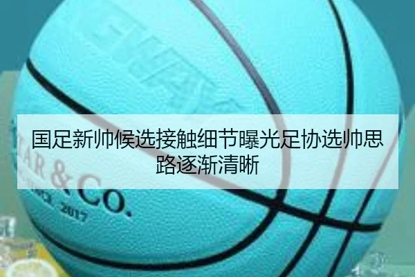 国足新帅候选接触细节曝光足协选帅思路逐渐清晰（YIHAOYULE）